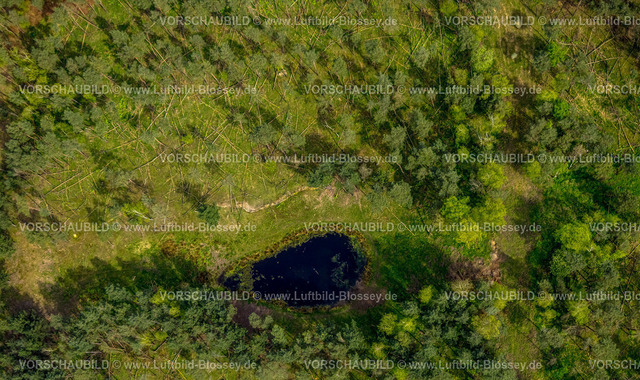 Schermbeck240402103UefterMark | Luftbild, Waldschäden und Wasserloch im Waldgebiet Üfter Mark, nahe der Borkener Straße Bundesstraße B224, Altschermbeck, Schermbeck, Münsterland, Nordrhein-Westfalen, Deutschland