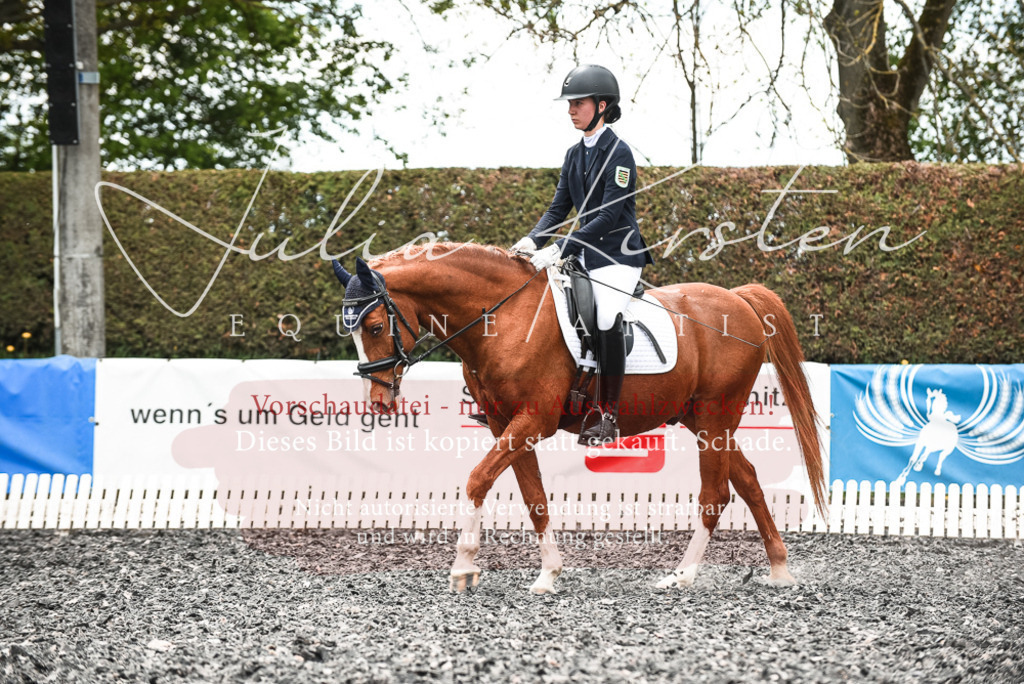 20230514_JK-Röhrsdorf-24-217 | Pferde- und Turnierfotografie in Westsachsen. Pferdeportraits, Auftragszeichnungen und intuitive Kunst.