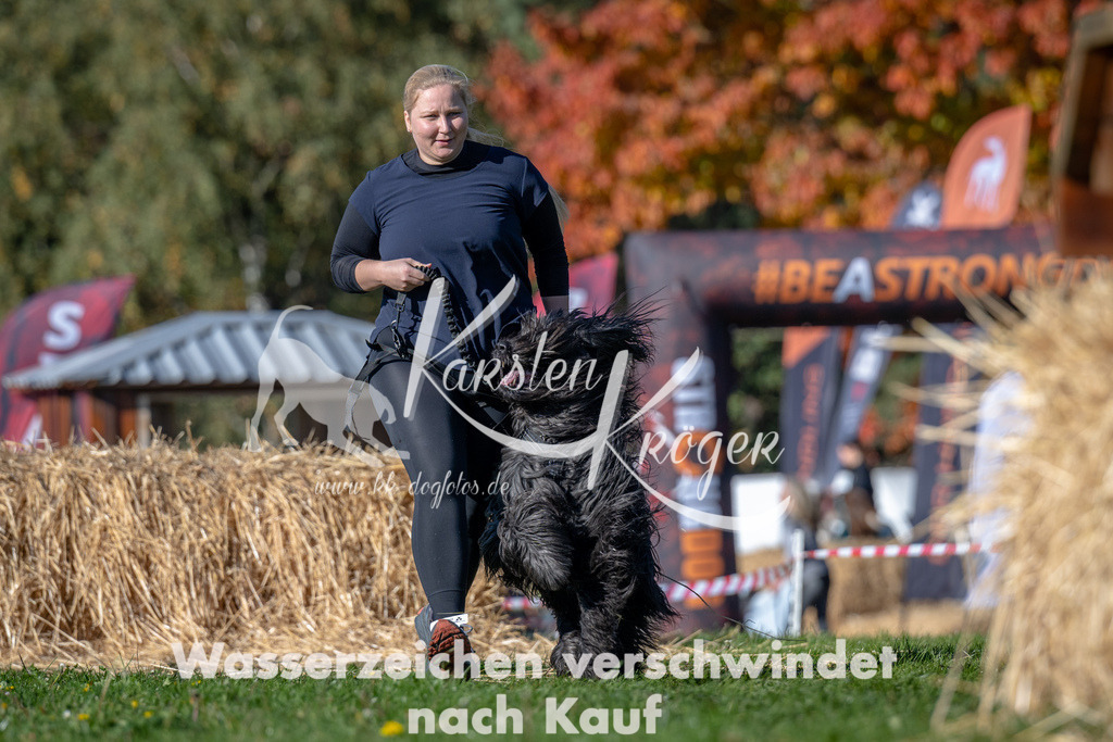 1126_ZZ90060 | kk-dogfotos