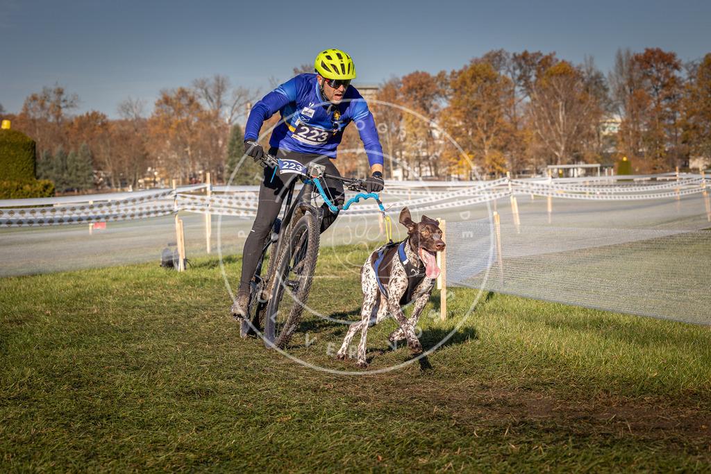CaniXpix_0L8A4658 | Hundefotografie, Tierfotograf, Pfotenfotografie, Fotoshooting Hund, Hunde Portrait, Hundesport, Hundeportraits, Heideshooting, Hunde, Sportfotograf, Hundefotograf, Turnierhundsport, THS,  - Realisiert mit Pictrs.com