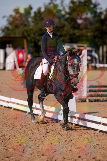 2026_10_03_Siefer-Hof_120028_Z81_02282369 | Professionelle Reitsport-, Turnier- und Eventfotografie von Robert Broda. Galerien mit ausgewählten und bearbeiteten Bildern direkt online ansehen und bestellen.