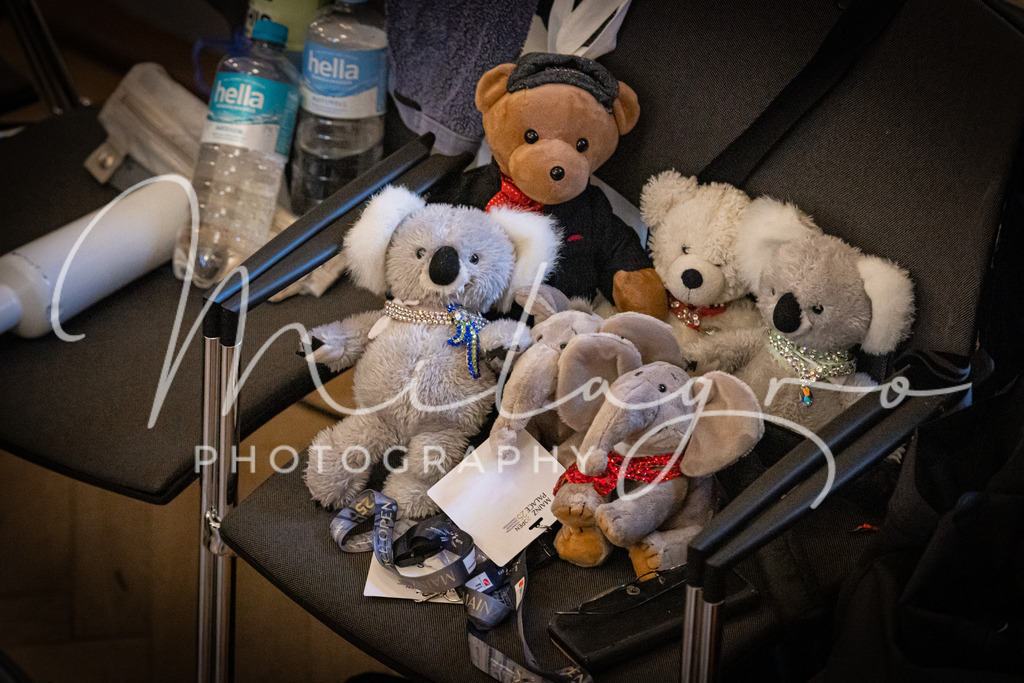 MainzPalaceOpen-1090 | milagro-photography