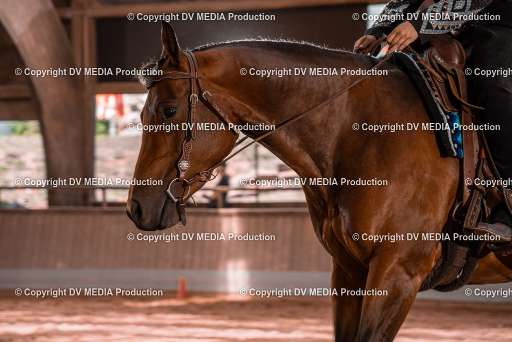 NE100502 | dv-media-shop - Realisiert mit Pictrs.com