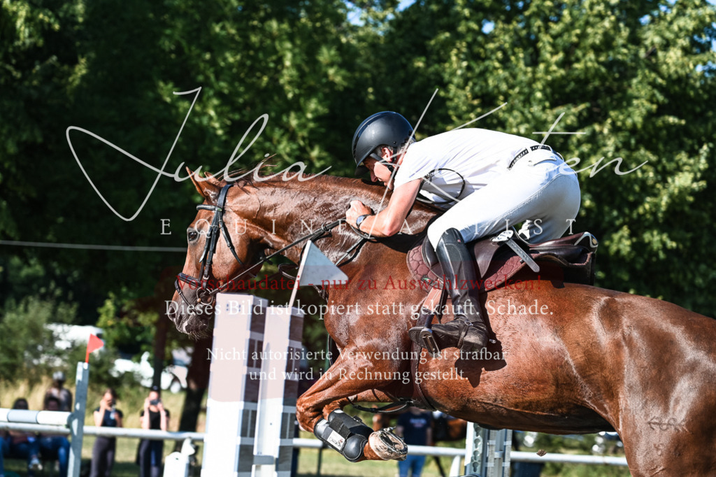 DSC_2746 | Pferde- und Turnierfotografie in Westsachsen. Pferdeportraits, Auftragszeichnungen und intuitive Kunst.