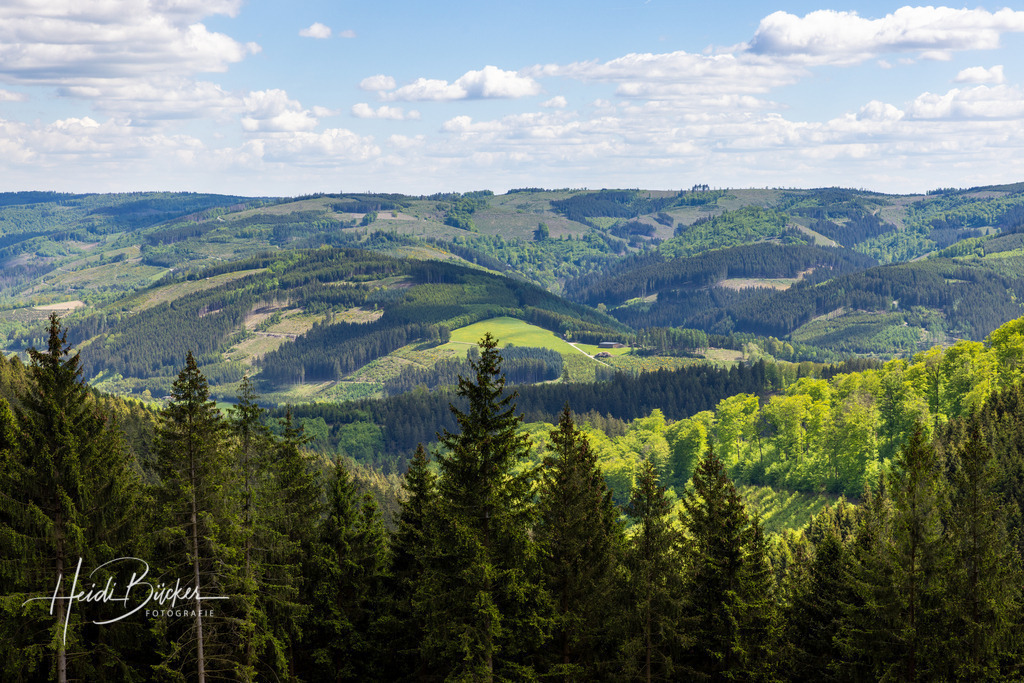Frühling im Sauerland | Frühling im Sauerland - Realisiert mit Pictrs.com