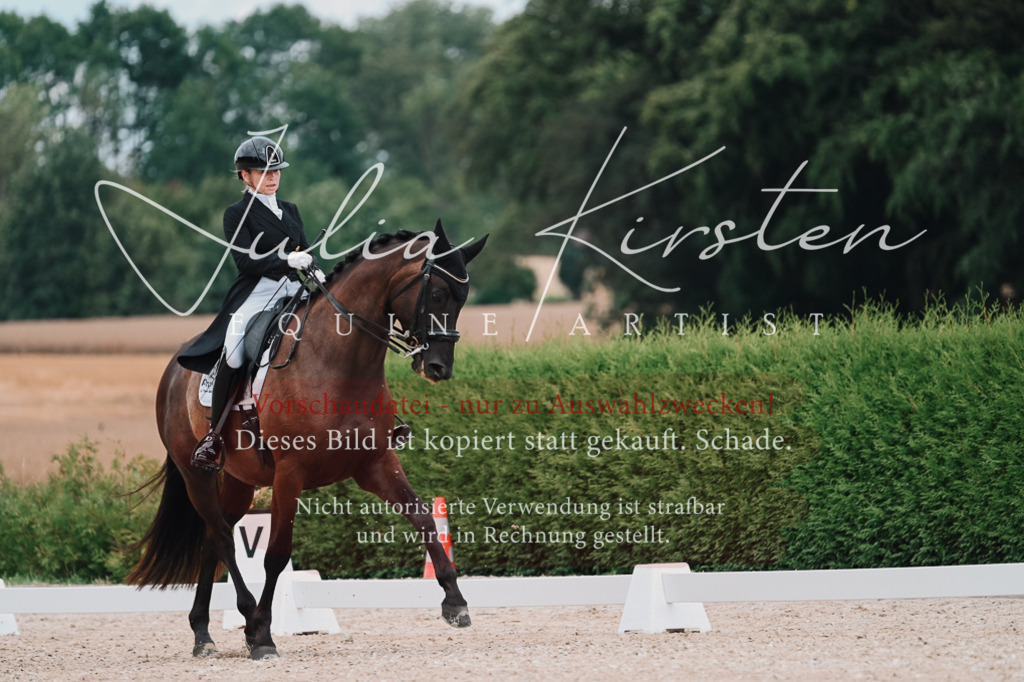 DSC_4158 | Pferde- und Turnierfotografie in Westsachsen. Pferdeportraits, Auftragszeichnungen und intuitive Kunst.