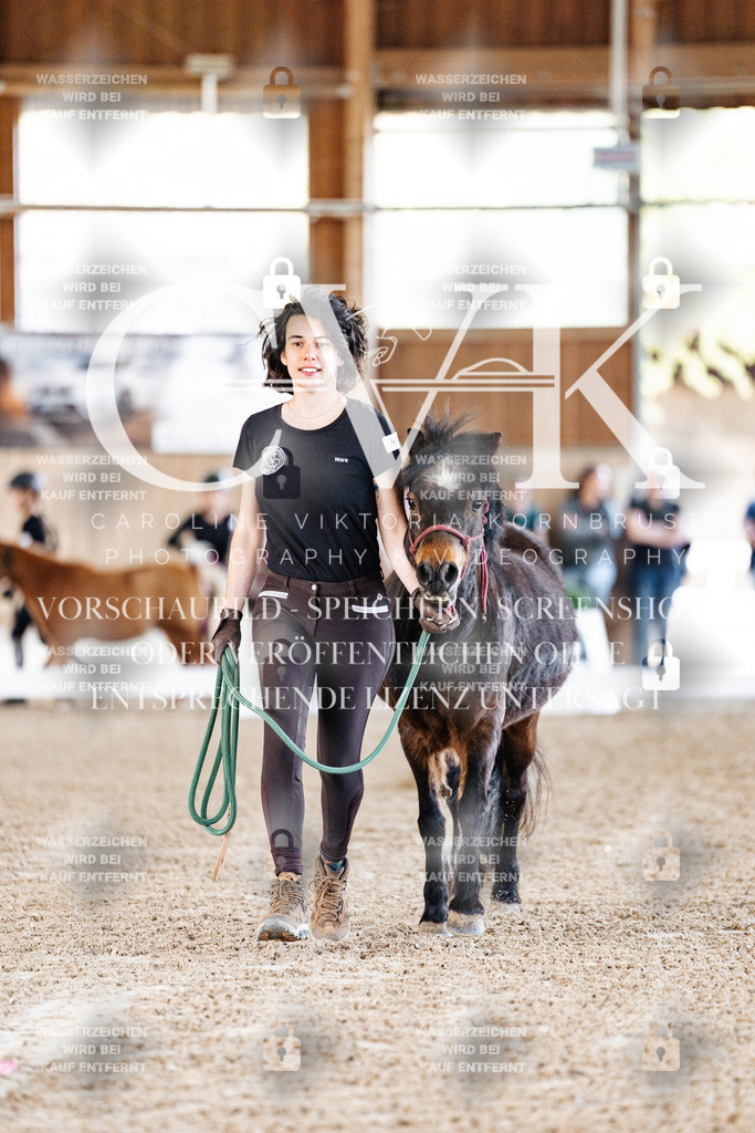 CK905149 | Turnierfotografie Pferdefotografie Trier Rheinland-Pfalz Pferdesport Reitsport Tierfotografie Sportfotografie Pferdevideo Pferdevideografie Equestrianvideography equestrianphotography  - Realisiert mit Pictrs.com