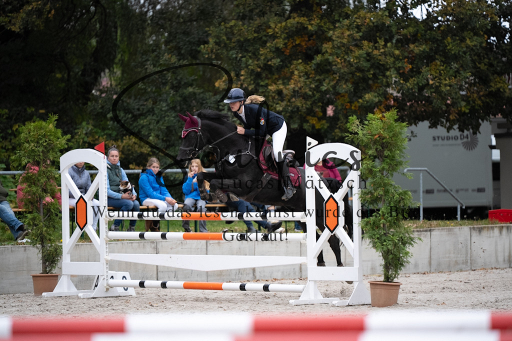 A7V08593 | Pferdefotograf