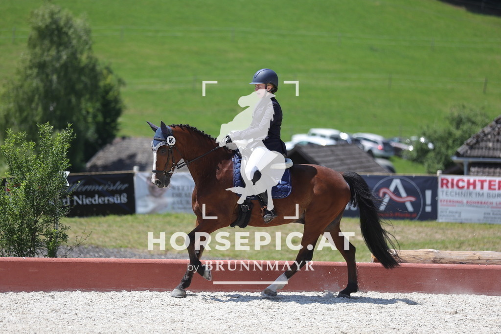 0P6A6342 | Willkommen bei Brunnmayr - Design & Fotografie – Ihrem Spezialisten für Reitturniere und Pferdeveranstaltungen in Oberösterreich, Salzburg und Bayern! Seit über 17 Jahren sind wir leidenschaftlich dabei.