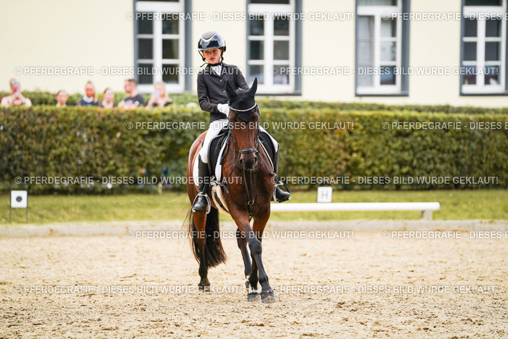 DSC00609 | Pferdegrafie