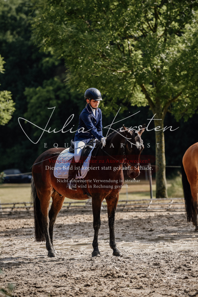 DSC_9194 | Pferde- und Turnierfotografie in Westsachsen. Pferdeportraits, Auftragszeichnungen und intuitive Kunst.