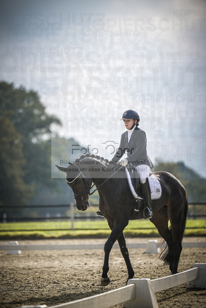 DOS_B230 | Entdecke hochwertige Reitturnierfotos von Foto Oger. Professionell, emotional und authentisch – jetzt Lieblingsmomente im Shop bestellen.Deutschlandweite Turnierfotografie. - Realisiert mit Pictrs.com