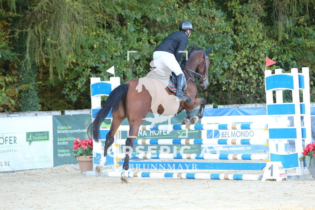 DL2Q4935 | Willkommen bei Brunnmayr - Design & Fotografie – Ihrem Spezialisten für Reitturniere und Pferdeveranstaltungen in Oberösterreich, Salzburg und Bayern! Seit über 17 Jahren sind wir leidenschaftlich dabei.