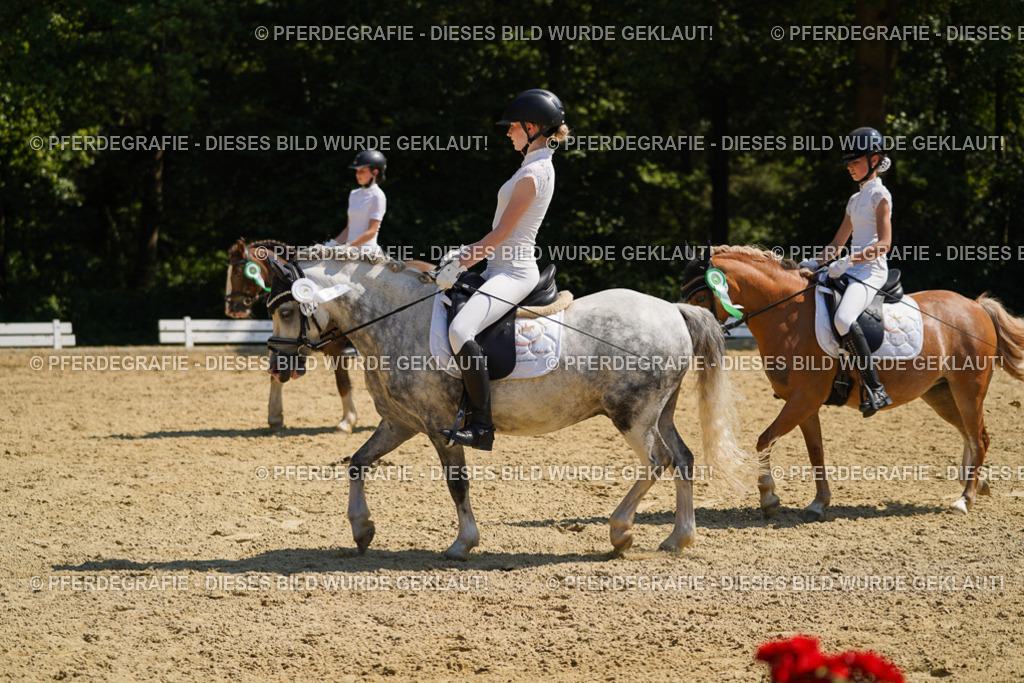 DSC05962 | Pferdegrafie