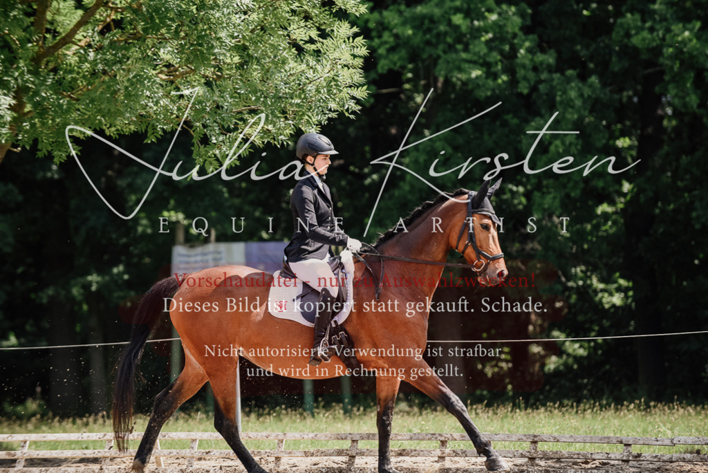 DSC_1020 | Pferde- und Turnierfotografie in Westsachsen. Pferdeportraits, Auftragszeichnungen und intuitive Kunst.