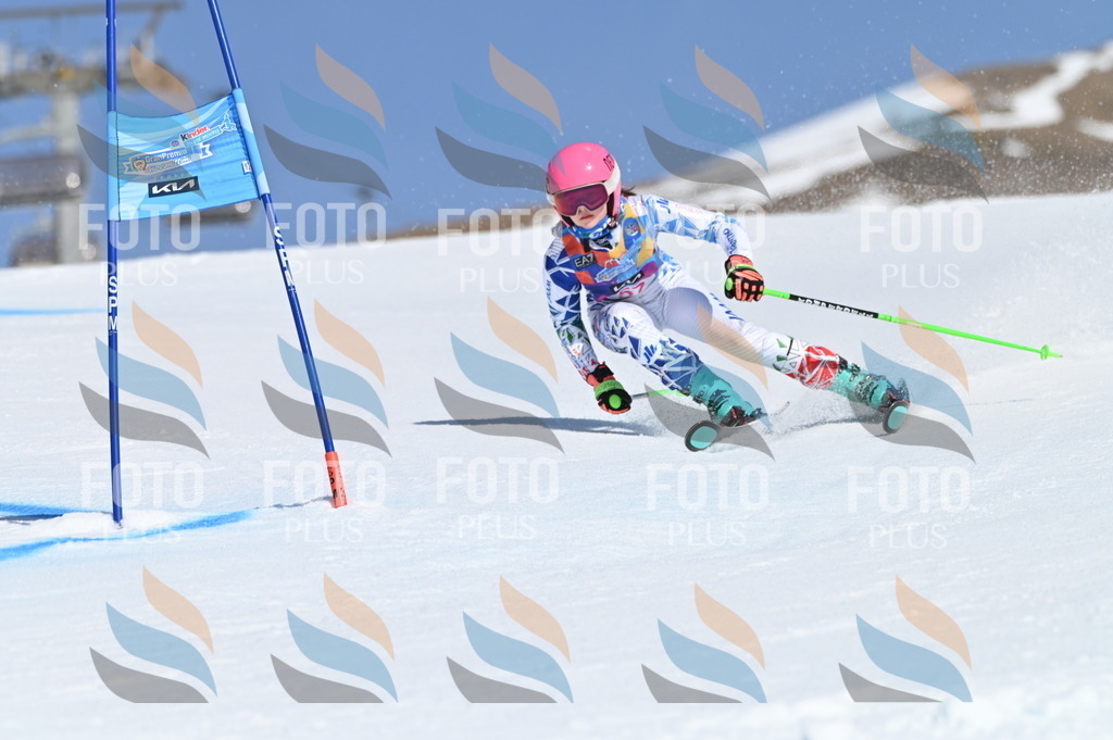 BGV_8667 | holidayphoto