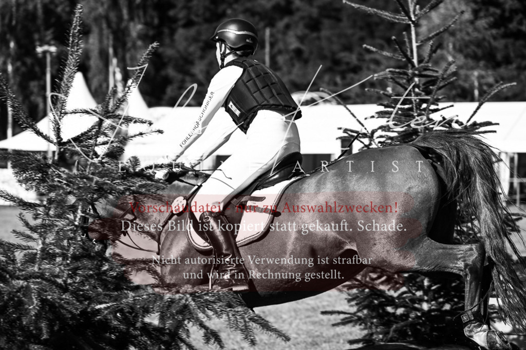 DSC_0891 | Pferde- und Turnierfotografie in Westsachsen. Pferdeportraits, Auftragszeichnungen und intuitive Kunst.
