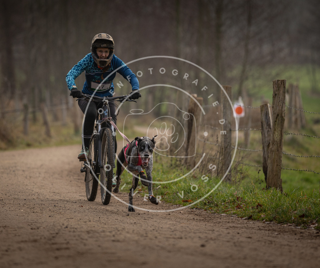 Pfotenfotografie_DV3A1890 | Hundefotografie, Tierfotograf, Pfotenfotografie, Fotoshooting Hund, Hunde Portrait, Hundesport, Hundeportraits, Heideshooting, Hunde, Sportfotograf, Hundefotograf, Turnierhundsport, THS,  - Realisiert mit Pictrs.com