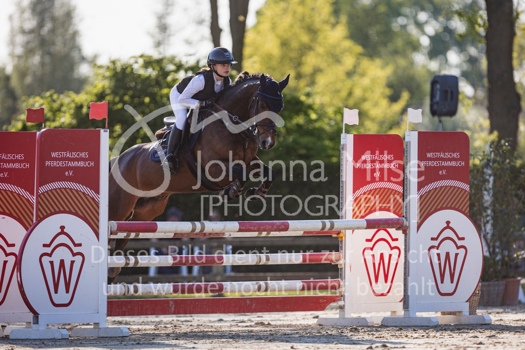250501_MünsterHandorf_PonyTrophy-276 | Deine schönsten Turniermomente als professionelle Fotos! Entdecke hochwertige Pferdesport-Fotografie im Online-Shop. Jetzt Fotos finden & bestellen!