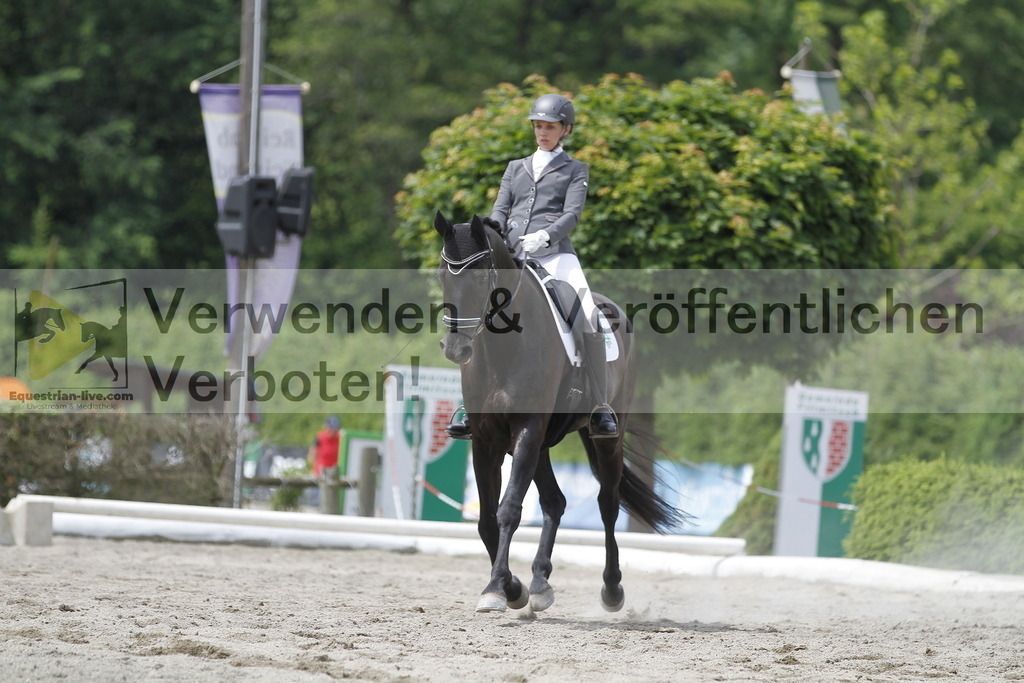 _MG_9137 | equestrian-live-com