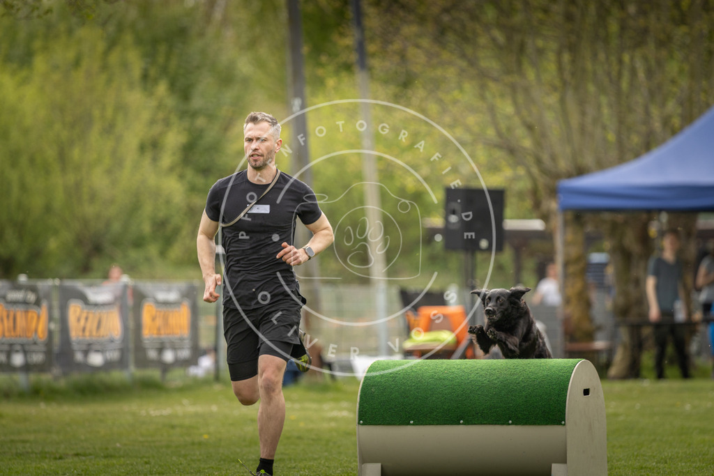 Pfotenfotografie_DV3A6605 | Hundefotografie, Tierfotograf, Pfotenfotografie, Fotoshooting Hund, Hunde Portrait, Hundesport, Hundeportraits, Heideshooting, Hunde, Sportfotograf, Hundefotograf, Turnierhundsport, THS,  - Realisiert mit Pictrs.com