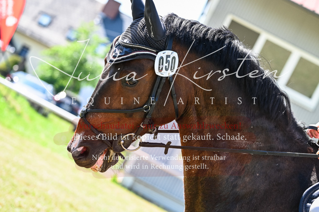 DSC_1212 | Pferde- und Turnierfotografie in Westsachsen. Pferdeportraits, Auftragszeichnungen und intuitive Kunst.