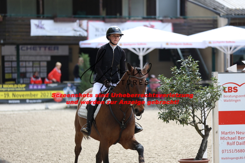 A40A2175 | lmwpictures - Realisiert mit Pictrs.com