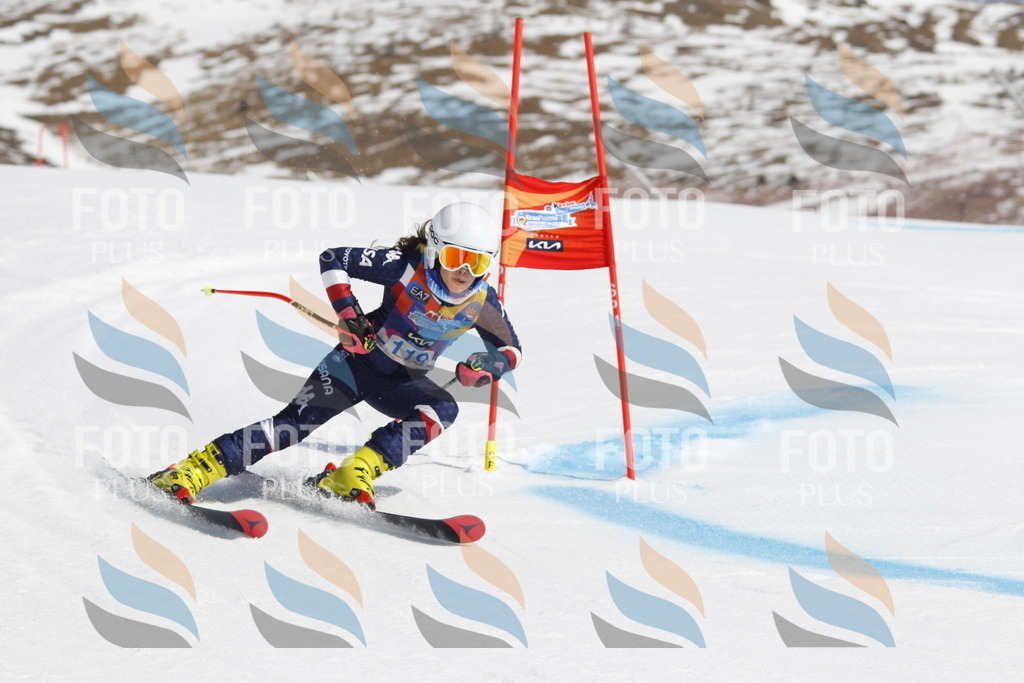 _U3G0682 | holidayphoto