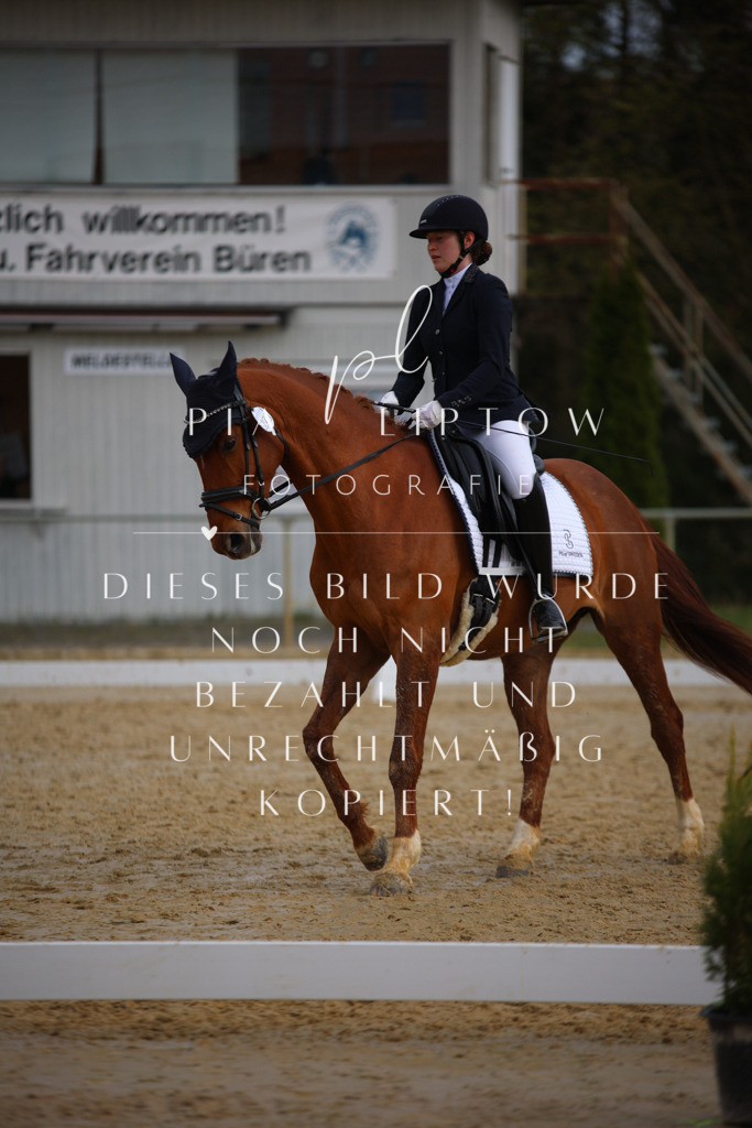 IMGT6779 | pl-fotografie