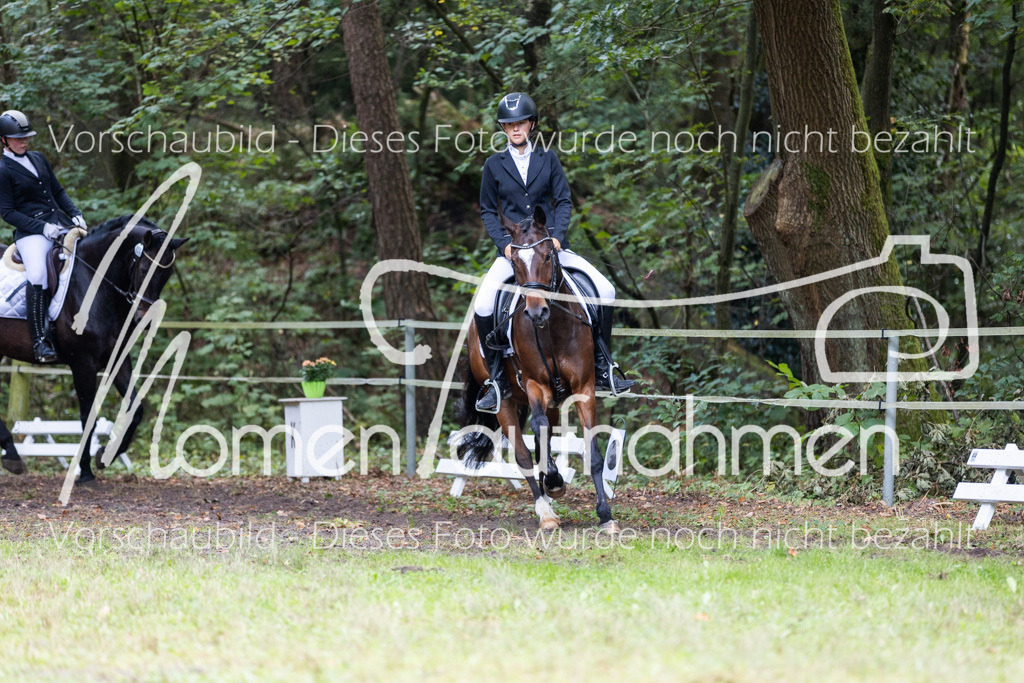 HB-Dressur-WB-027 | MomenTaufnahmen Pferdesportfotos