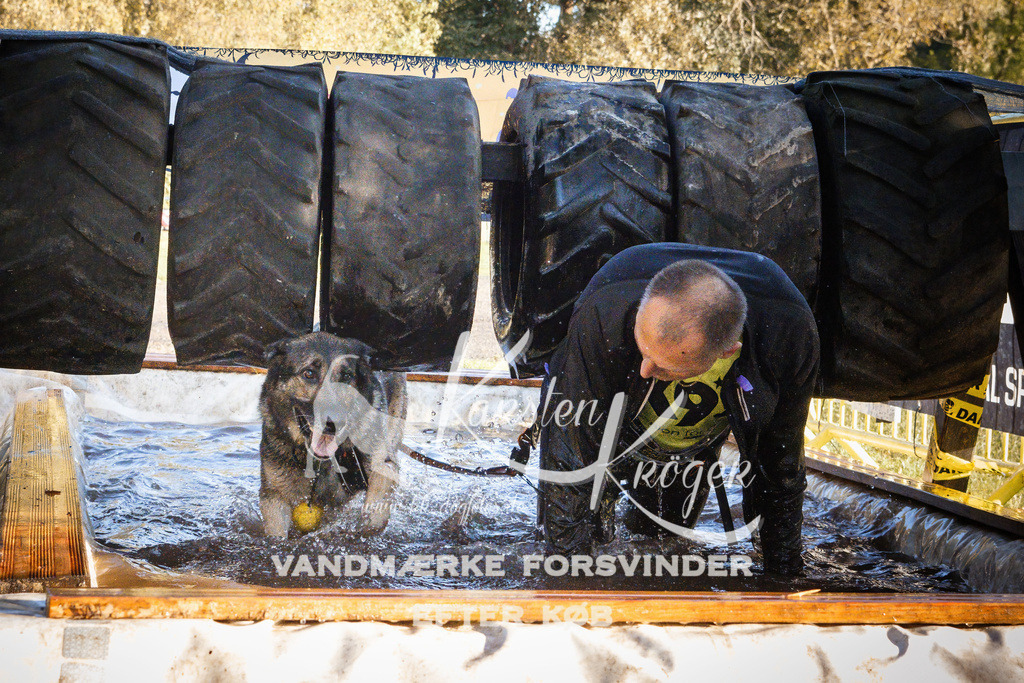 0930_ZZ91235 | kk-dogfotos