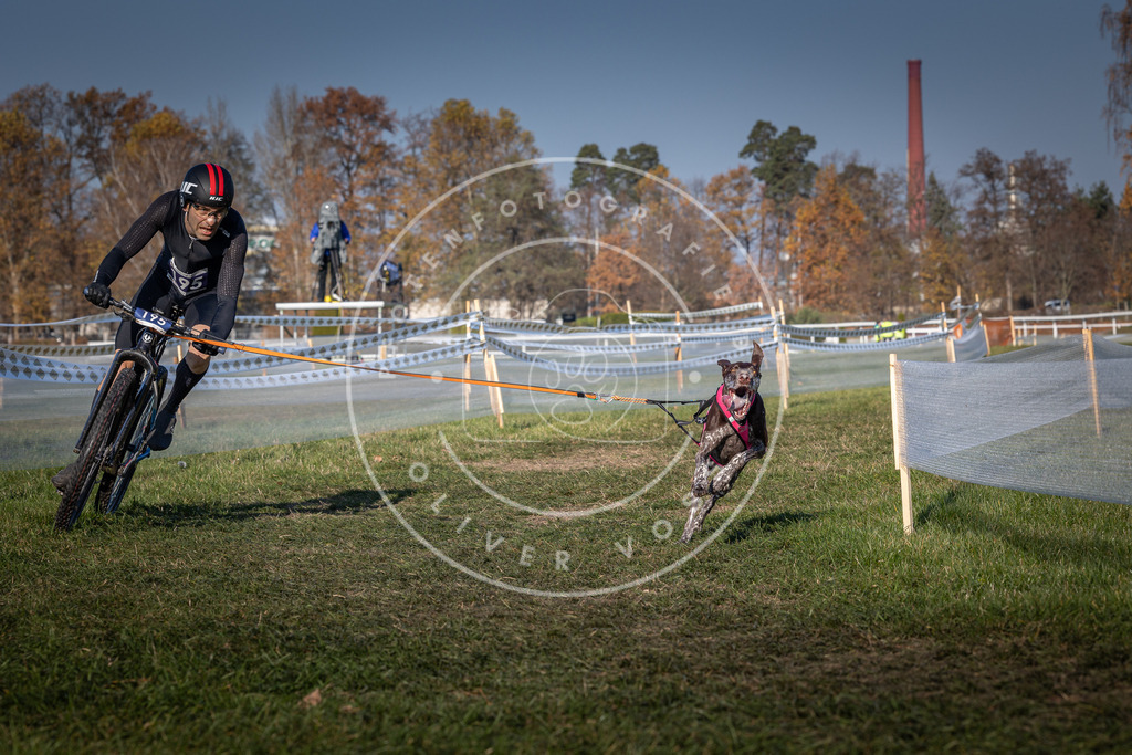 CaniXpix_0L8A5978 | Hundefotografie, Tierfotograf, Pfotenfotografie, Fotoshooting Hund, Hunde Portrait, Hundesport, Hundeportraits, Heideshooting, Hunde, Sportfotograf, Hundefotograf, Turnierhundsport, THS,  - Realisiert mit Pictrs.com