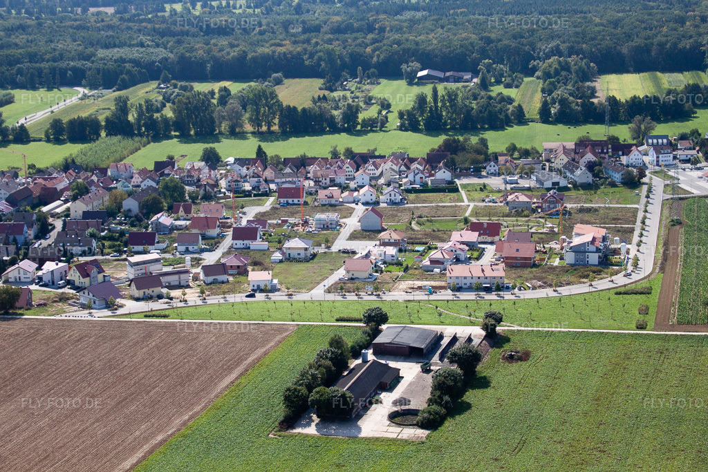 Luftbild: Am Höhenweg in Kandel im Bundesland Rheinland-Pfalz in Deutschland. Foto: IMG_21097.jpg vom 06.09.2009 durch Werner Riehm/FLY-FOTO.de