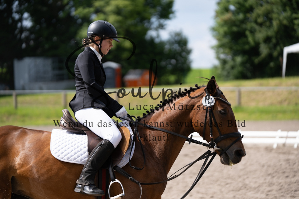 A7V02597 | Pferdefotograf