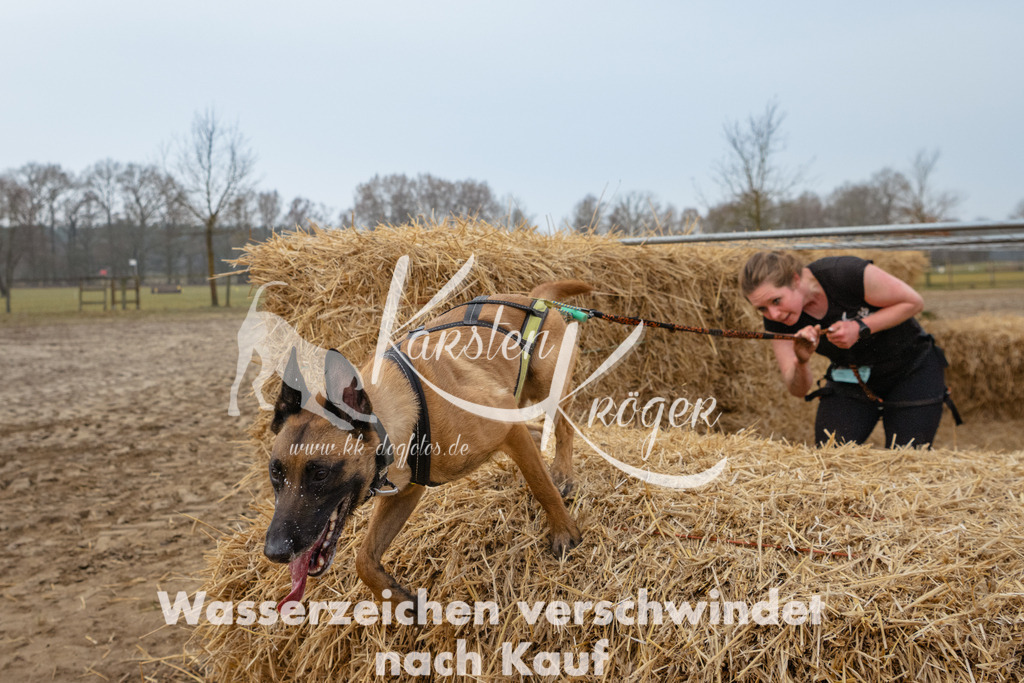 0819_ZZ92446 | kk-dogfotos