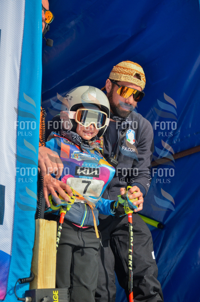 _ELE4475 | holidayphoto