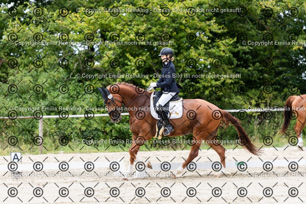 CL5A7801 | Emilia Reinking Fotografie - Realisiert mit Pictrs.com