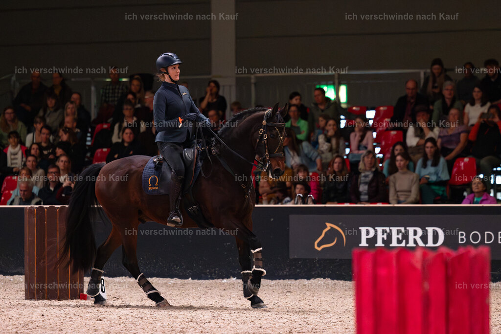 JoseraCup-85 | working equitationturnier fotograf videograf stoibphotography marixx film working equitation deutschland reitsport turnierfotografie eventfotografie equestrian events