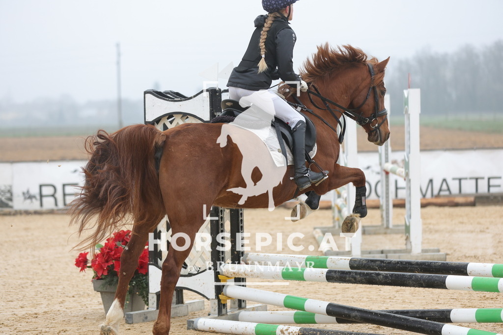 0P6A8222 | Willkommen bei Brunnmayr - Design & Fotografie – Ihrem Spezialisten für Reitturniere und Pferdeveranstaltungen in Oberösterreich, Salzburg und Bayern! Seit über 17 Jahren sind wir leidenschaftlich dabei.