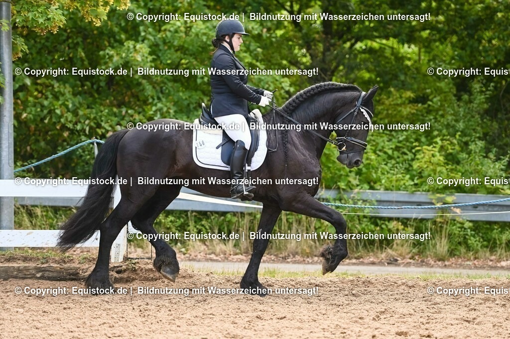20230716_04_Dressurreiterprüfung Kl.A_0347 | equistock