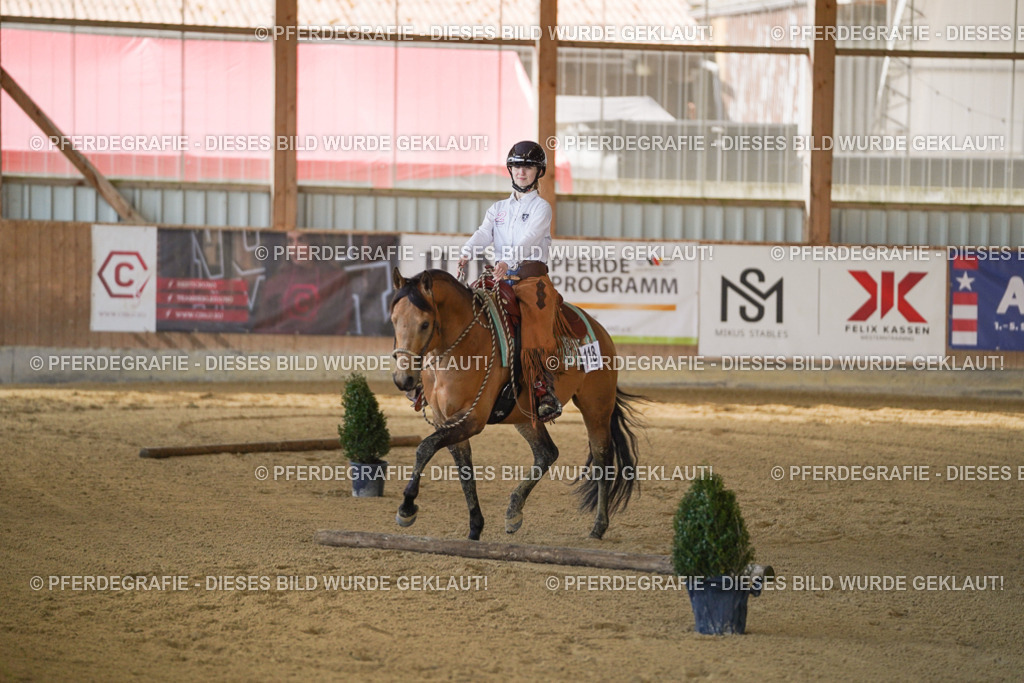 DSC07280 | Pferdegrafie