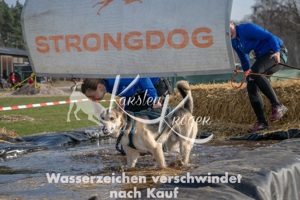 _ZZ90061 | kk-dogfotos