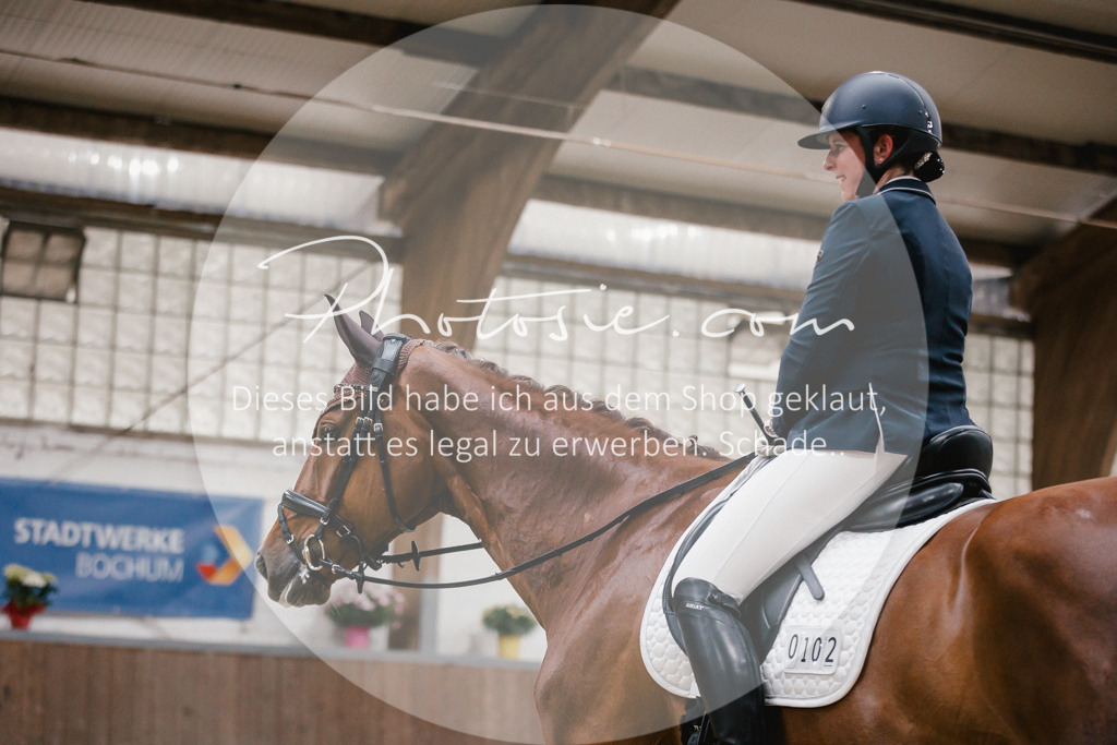 3I6A6208 | Stimmungsvolle Portraits und Reitsportfotografie im Ruhrgebiet und im Münsterland.

Pferdefotografie, Hundefotografie, Tierfotografie, Reportagen, Portraits von Tier und Mensch, Turnierfotografie in Bochum, Recklinghausen, Marl, Haltern am See, Dülmen.. - Realisiert mit Pictrs.com