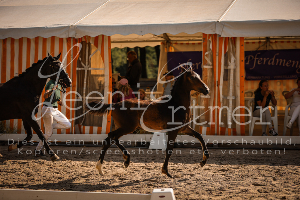 11.DoRP00079 | Leoni Ertmer Photography - Realisiert mit Pictrs.com