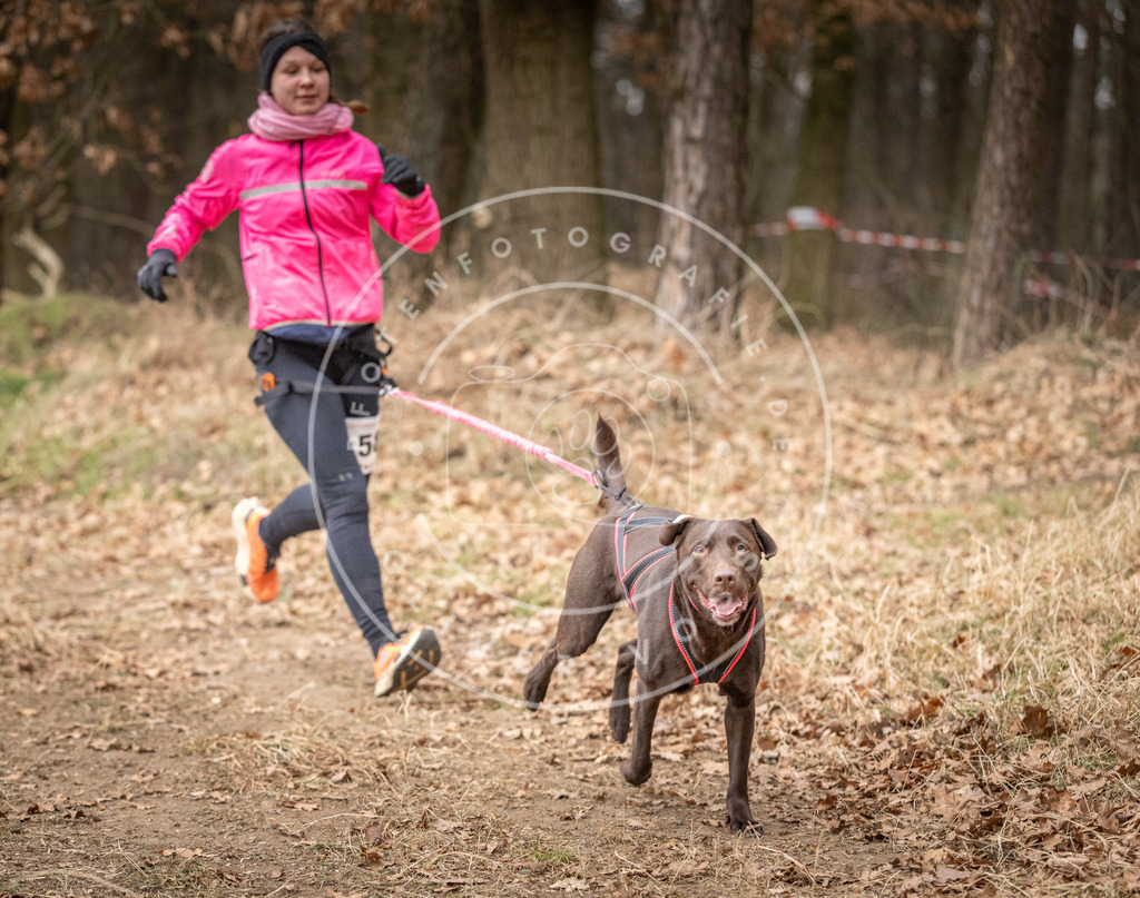 Pfotenfotografie_DV3A2072 | Hundefotografie, Tierfotograf, Pfotenfotografie, Fotoshooting Hund, Hunde Portrait, Hundesport, Hundeportraits, Heideshooting, Hunde, Sportfotograf, Hundefotograf, Turnierhundsport, THS,  - Realisiert mit Pictrs.com