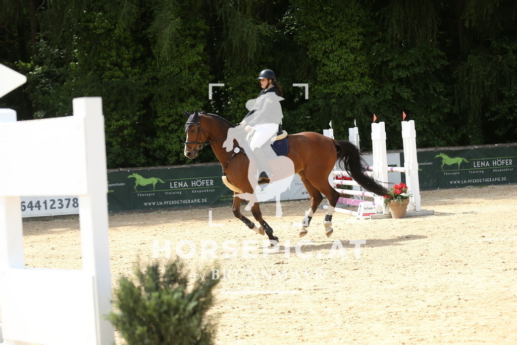 DL2Q5321 | Willkommen bei Brunnmayr - Design & Fotografie – Ihrem Spezialisten für Reitturniere und Pferdeveranstaltungen in Oberösterreich, Salzburg und Bayern! Seit über 17 Jahren sind wir leidenschaftlich dabei.