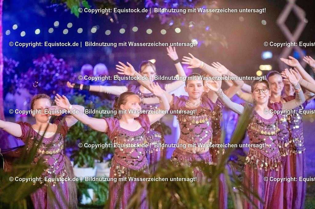 20250606_Lange-Pferdenacht_1445 | Foto: Thomas Hartig