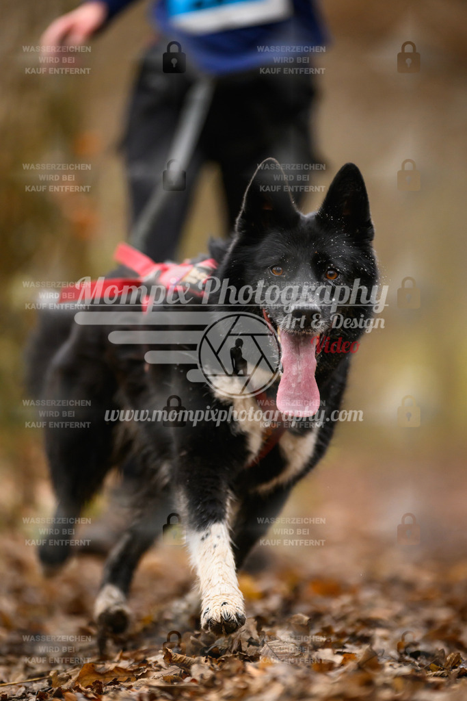 MompixPhotography_Eschau2024_CCC-85 | PayLife