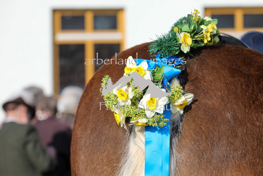 OE7A3532 | Traditionell findet am Ostermontag der Osterritt und der Flurumritt in der Stadt Regen statt