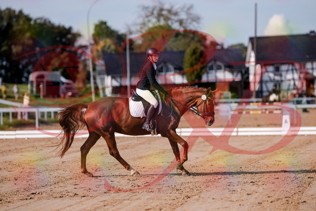 2026_10_03_Siefer-Hof_114423_Z81_87150857 | Professionelle Reitsport-, Turnier- und Eventfotografie von Robert Broda. Galerien mit ausgewählten und bearbeiteten Bildern direkt online ansehen und bestellen.
